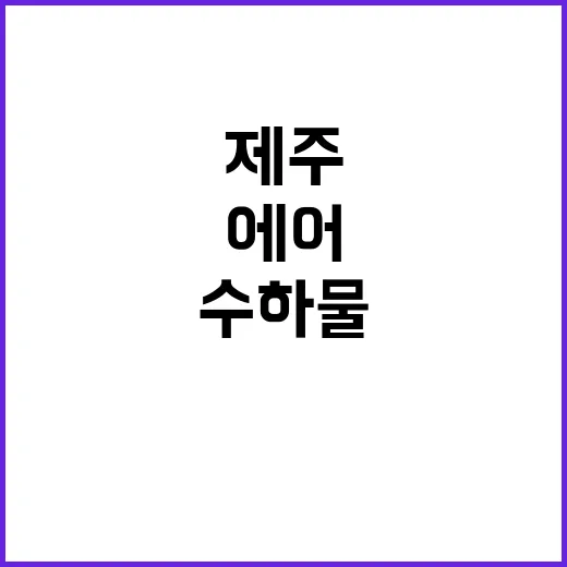 제주에어 예약부터 수하물까지 초보자가 실수 줄이는 방법 - 요약