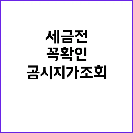 공시지가 조회하는 방법, 세금 전에 꼭 확인하는 순서 - 요약
