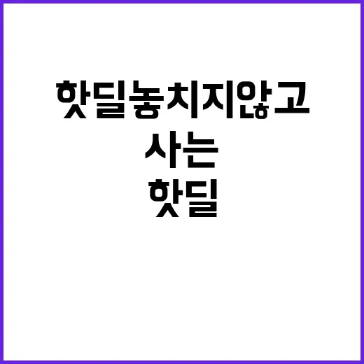 핫딜 놓치지 않고 제대로 사는 방법 - 요약
