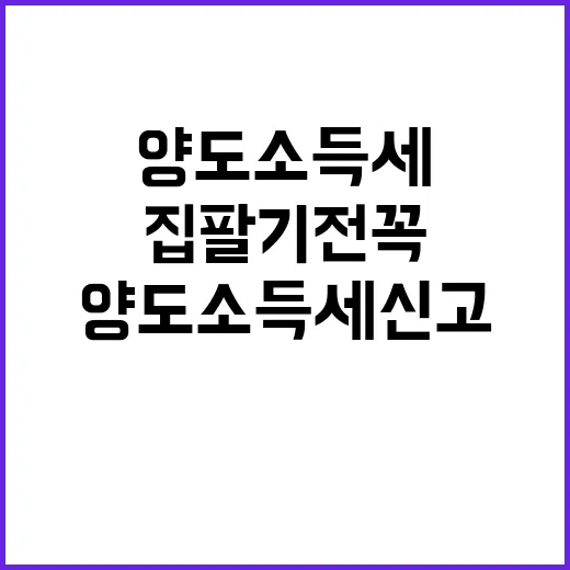 양도소득세 신고하는 방법, 집 팔기 전 꼭 챙길 것들 - 요약