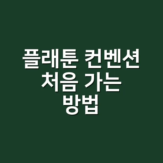 플래툰 컨벤션 처음 가는 방법: 입장부터 예산까지 챙기는 법 - 요약