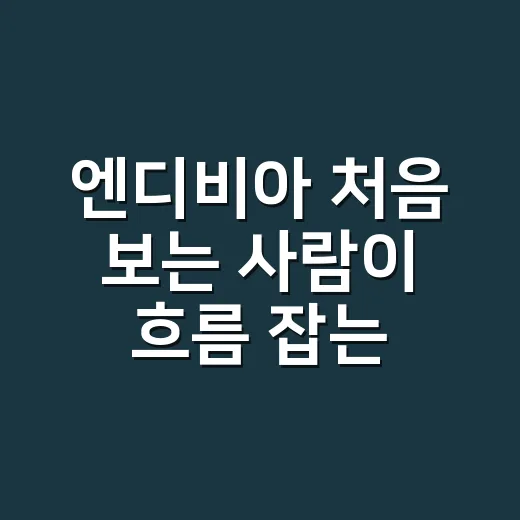 엔디비아 처음 보는 사람이 흐름 잡는 방법 - 요약