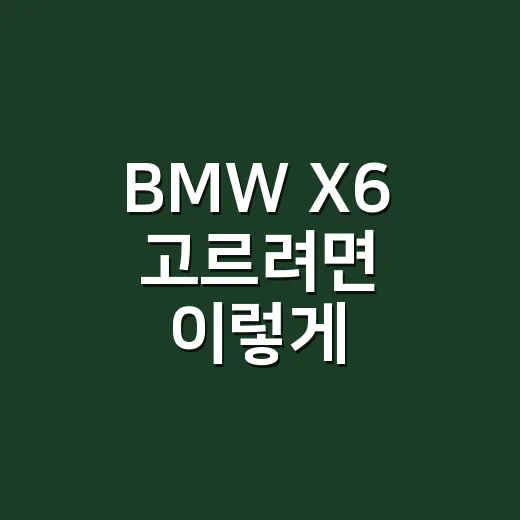 BMW X6 고르려면 이렇게 비교하세요: xDrive40i부터 M60i까지 현실 체크 - 요약