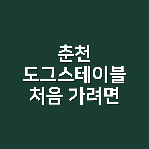 춘천 도그스테이블 처음 가려면 이렇게 준비하세요 - 요약