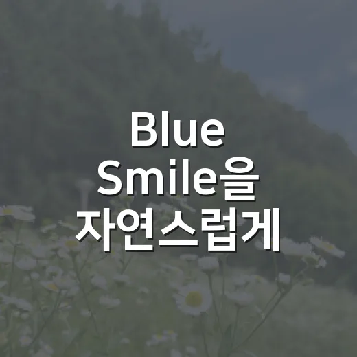 Blue Smile을 자연스럽게 이해하고 활용하는 방법 - 요약