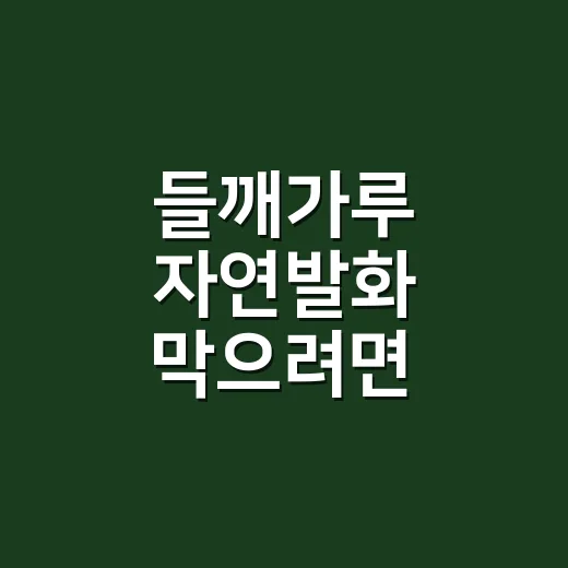 들깨가루 자연발화 막으려면 이렇게 보관하세요 - 요약
