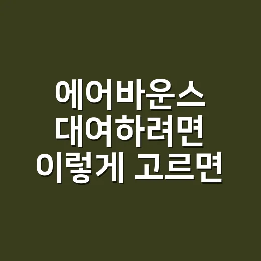 에어바운스 대여하려면 이렇게 고르면 실패 확률이 줄어요 - 요약