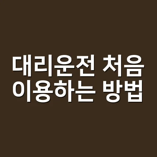 대리운전 처음 이용하는 방법, 요금부터 안전 확인까지 이렇게 하면 편해요 - 요약