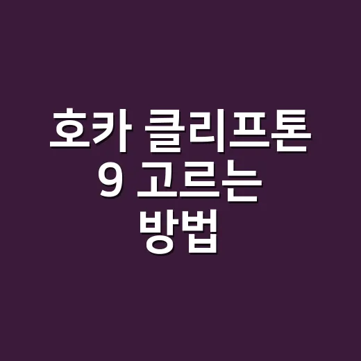 호카 클리프톤 9 고르는 방법, 걷기와 러닝용으로 실패 줄이려면 이렇게 - 요약
