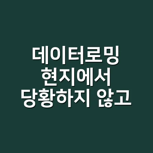 데이터로밍 현지에서 당황하지 않고 쓰는 방법 - 요약