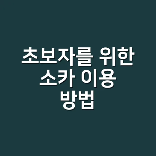 초보자를 위한 소카 이용 방법, 예약부터 반납까지 헷갈리는 부분만 콕 집어보기 - 요약