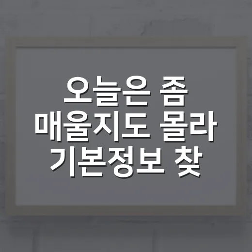 오늘은 좀 매울지도 몰라 기본정보 찾는 방법, 보기 전에 알면 좋은 이야기 - 요약