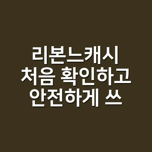 리본느캐시 처음 확인하고 안전하게 쓰는 방법 - 요약