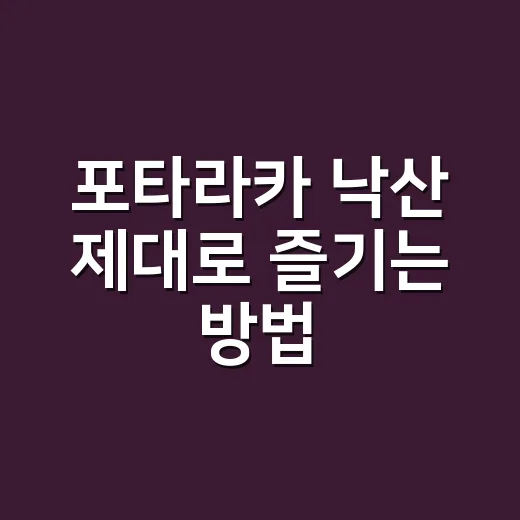 포타라카 낙산 제대로 즐기는 방법, 양양 웰니스 여행 전 체크할 것들 - 요약