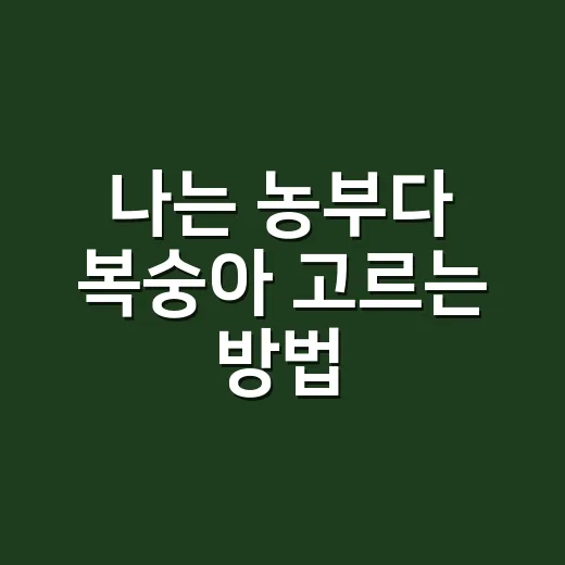 나는 농부다 복숭아 고르는 방법, 달콤한 제철 복숭아 제대로 즐기려면 이렇게 - 요약