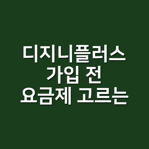 디지니플러스 가입 전 요금제 고르는 방법