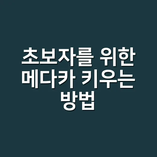 초보자를 위한 메다카 키우는 방법, 작은 어항으로 시작하는 현실 팁 - 요약