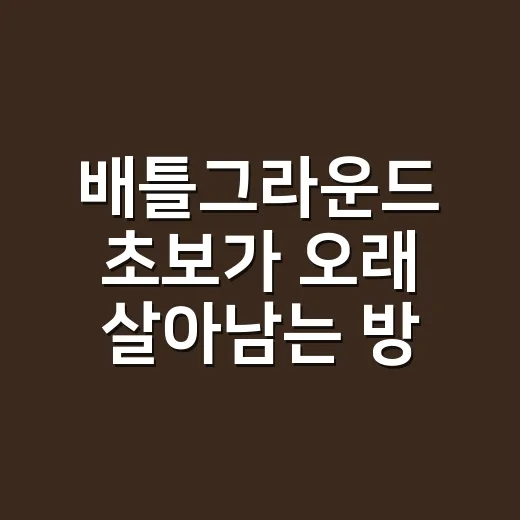 배틀그라운드 초보가 오래 살아남는 방법, 설정부터 운영까지 이렇게 잡아보세요 - 요약