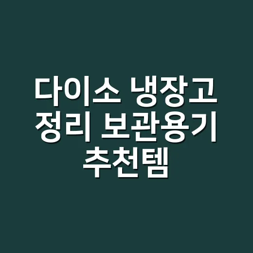 다이소 냉장고 정리 보관용기 추천템 고르는 방법 - 요약