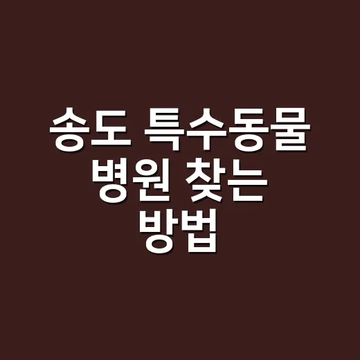 송도 특수동물 병원 찾는 방법, 초보 보호자가 먼저 확인할 것들 - 요약