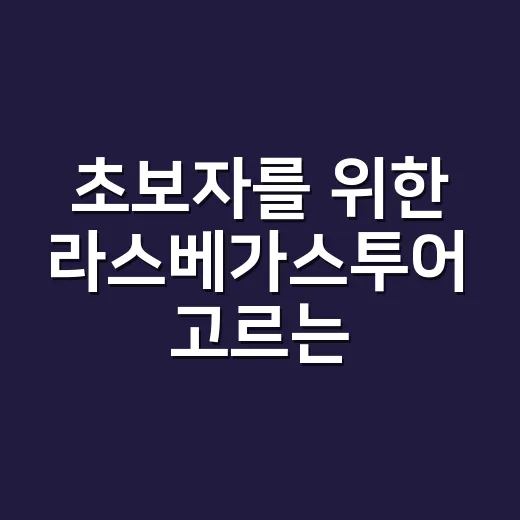 초보자를 위한 라스베가스투어 고르는 방법 - 요약