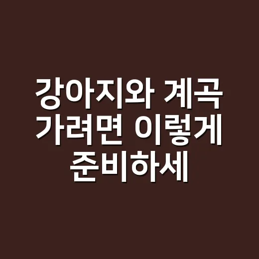 강아지와 계곡 가려면 이렇게 준비하세요 - 요약