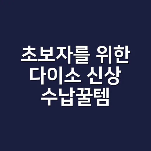 초보자를 위한 다이소 신상 수납꿀템 2가지 고르는 방법 - 요약