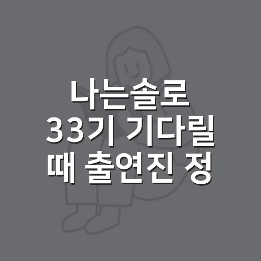 나는솔로 33기 기다릴 때 출연진 정보 확인하는 방법 - 요약