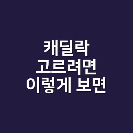 캐딜락 고르려면 이렇게 보면 실패 확률이 줄어듭니다 - 요약