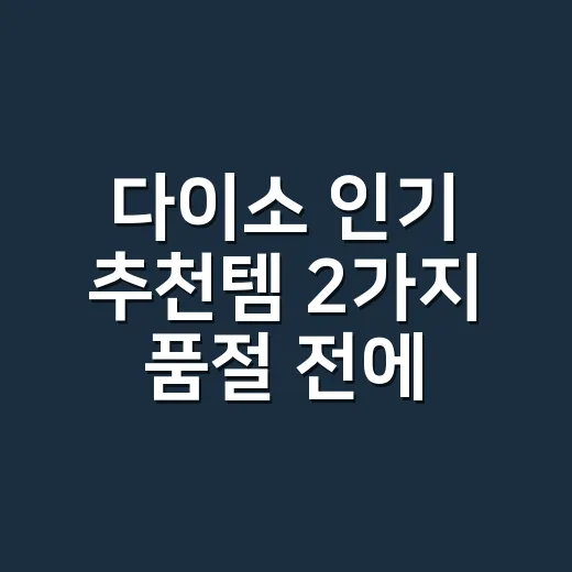 다이소 인기 추천템 2가지 품절 전에 고르는 방법 - 요약