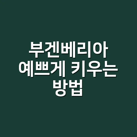 부겐베리아 예쁘게 키우는 방법, 꽃이 오래 가려면 이렇게 관리하세요 - 요약