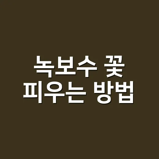 녹보수 꽃 피우는 방법, 집에서 기다릴 때 알아둘 관리법 - 요약