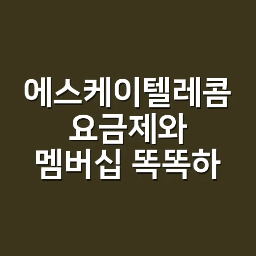 에스케이텔레콤 요금제와 멤버십 똑똑하게 고르는 방법 - 요약