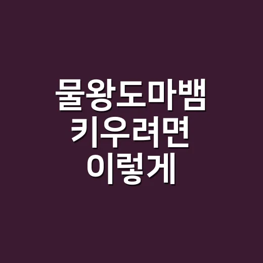 물왕도마뱀 키우려면 이렇게 준비하면 됩니다 - 요약