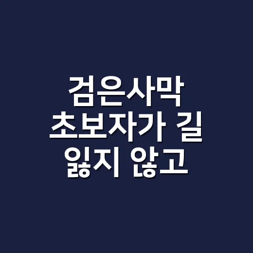 검은사막 초보자가 길 잃지 않고 시작하는 방법 - 요약