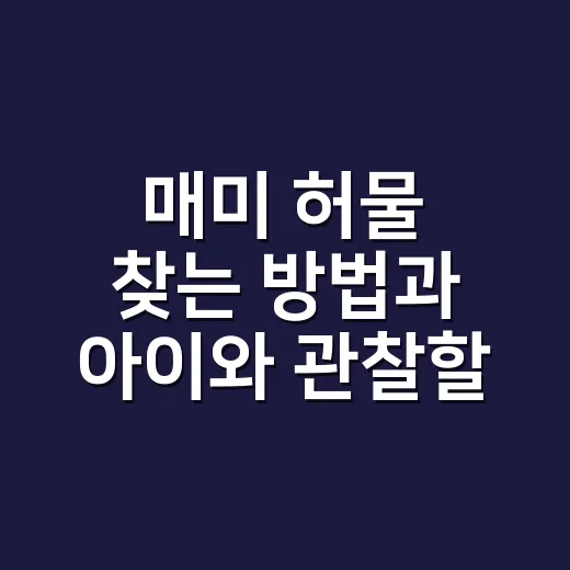 매미 허물 찾는 방법과 아이와 관찰할 때 알아두면 좋은 것들 - 요약