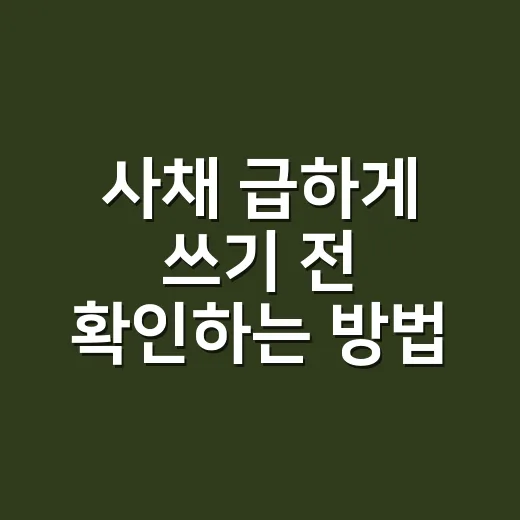 사채 급하게 쓰기 전 확인하는 방법 - 요약