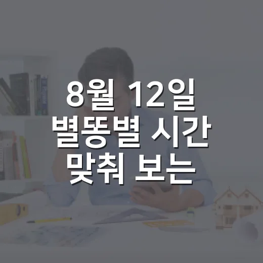8월 12일 별똥별 시간 맞춰 보는 방법, 몇 시에 나가야 잘 보일까 - 요약