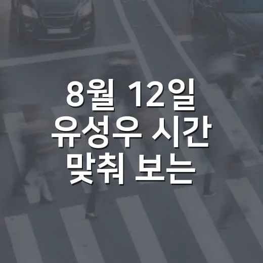 8월 12일 유성우 시간 맞춰 보는 방법, 몇 시에 나가야 잘 보일까 - 요약