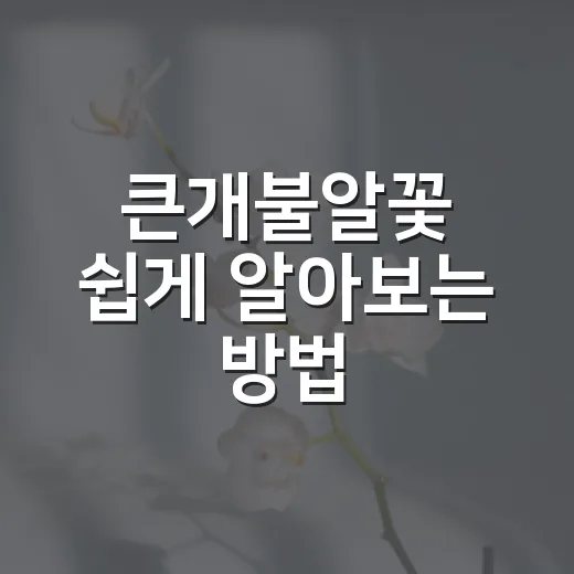 큰개불알꽃 쉽게 알아보는 방법, 봄 산책길에서 헷갈리지 않게 구분하기 - 요약