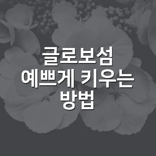 글로보섬 예쁘게 키우는 방법: 물주기부터 햇빛, 삽목까지 - 요약