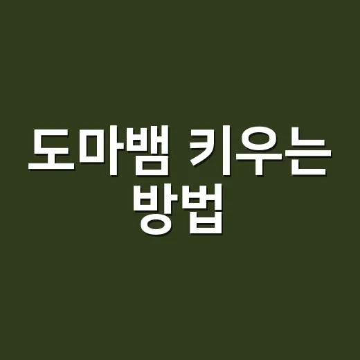 도마뱀 키우는 방법, 처음 준비할 때 놓치기 쉬운 것들 - 요약