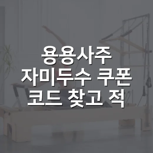 용용사주 자미두수 쿠폰 코드 찾고 적용하는 방법 - 요약