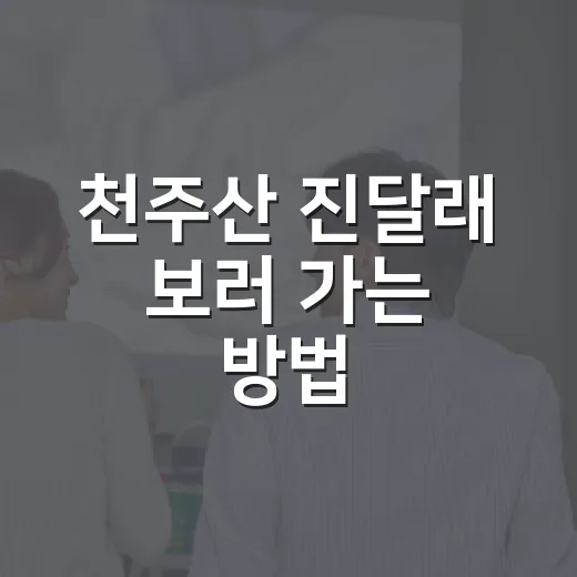 천주산 진달래 보러 가는 방법, 처음 가도 덜 헤매는 봄 산행 코스 - 요약