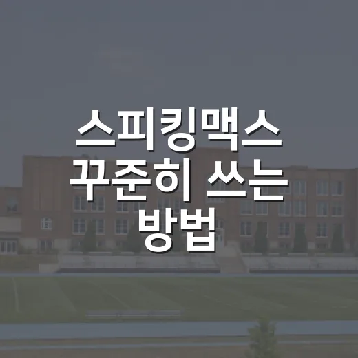 스피킹맥스 꾸준히 쓰는 방법, 초보자는 이렇게 시작하면 편해요 - 요약