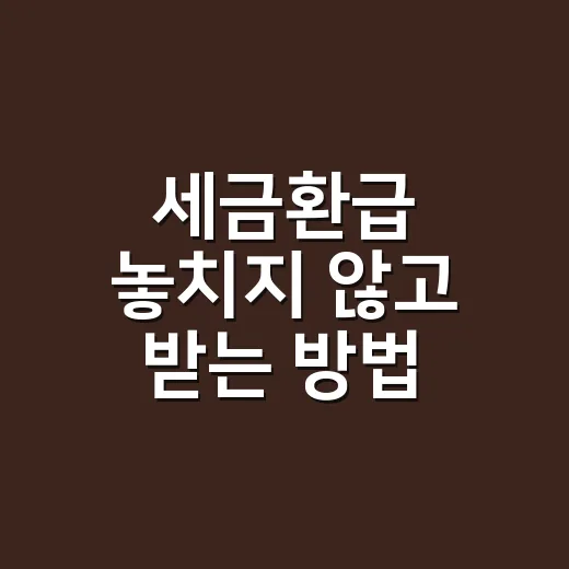 세금환급 놓치지 않고 받는 방법, 홈택스부터 계좌 등록까지 - 요약