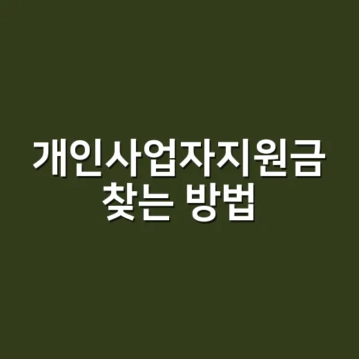 개인사업자지원금 찾는 방법, 놓치기 쉬운 신청 포인트까지 - 요약