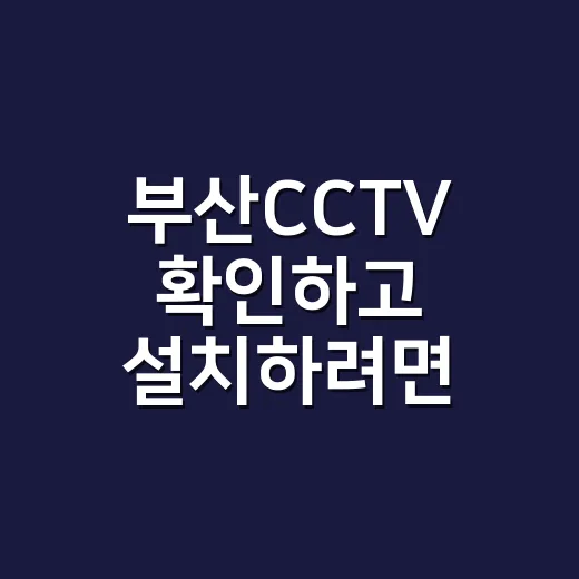 부산CCTV 확인하…