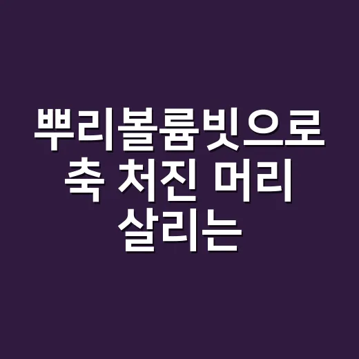 뿌리볼륨빗으로 축 처진 머리 살리는 방법, 초보자도 이렇게 하면 쉬워요