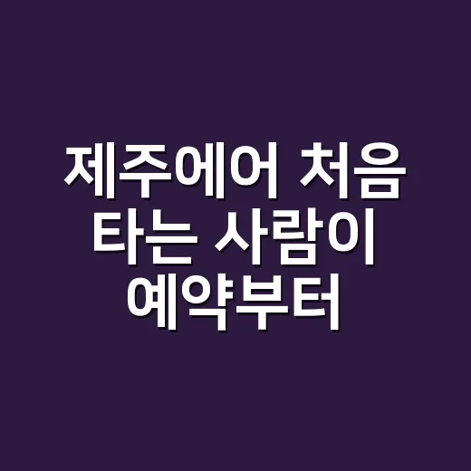 제주에어 처음 타는 사람이 예약부터 탑승까지 덜 헤매는 방법 - 요약